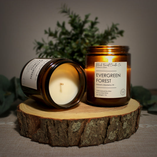 Evergreen Forest